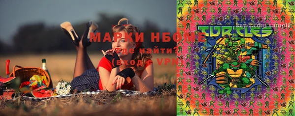 ешки Надым