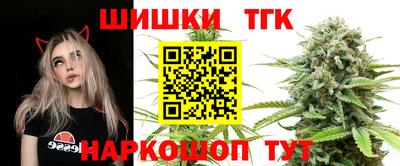 дмт Гусев