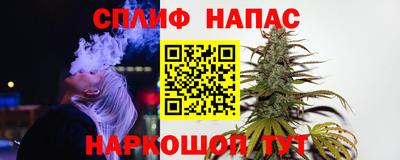 дмт Гусев