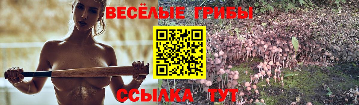 Альфа-ПВП  Вход с VPN  Мяу-Мяу  Печора  Ляпка  Канабис  Кокаин  Кодеин 