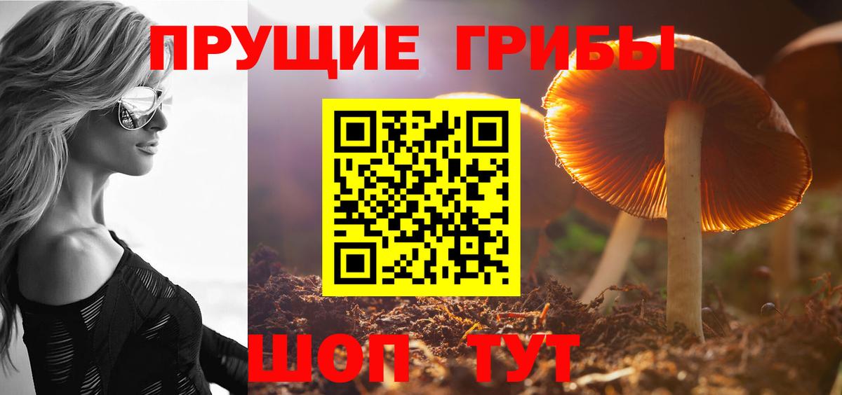 Галлюциногенные грибы Cubensis  как найти закладки  Печора  Псилоцибиновые грибы ЛСД  Вход с VPN 