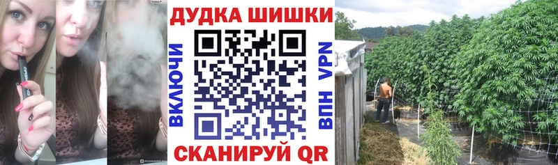 Конопля OG Kush  Печора 